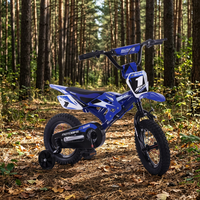 Vélo BMX Mini pour Adolescents de Haute Qualité Certifié CE, Roues de 20 Pouces, Vélo pour Enfants/Vélo de Montagne