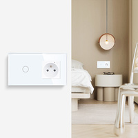 Commutateurs intelligents Tawoia CE RoHS Wifi Tuya combinés à une télécommande Wifi Smart Socket avec Alexa google Assistant 86*157mm