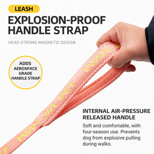 Correa para perro con letras jacquard, amortiguadora de impactos, cadena elástica tipo P, doble asa de tracción, cuerda de entrenamiento para control de paseo de mascotas - Product Image 6