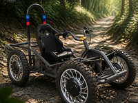 Go-Kart Eléctrico Todoterreno 4x4 de 8000W y 60V para Adultos