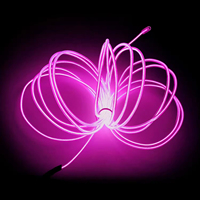 Guirlandes lumineuses Leon qui brillent dans le noir, 3 m, fil néon clignotant, PVC transparent, LED alimentées par piles, pour voiture, fête, Ramadan, remise de diplôme