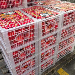 Mandarinas Frescas <span class=keywords><strong>de</strong></span> Alta Calidad, Cítricos Dulces con Sabor a Miel, Cultivadas, al Mejor Precio, Directo <span class=keywords><strong>de</strong></span> Fábrica - Product Image 6