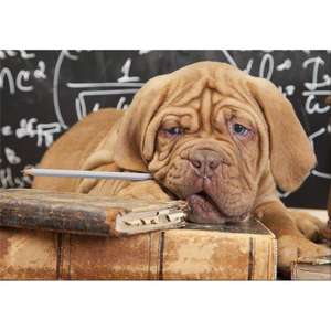 Pannello di riposo 50x35 cm - Product Image 1