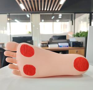 Modelo de cuidado de pie diabético De ciencia médica avanzada DARHMMY - Product Image 2