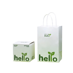 Coffret/sac cadeau miniature de paysage en miniature avec mousse de pelouse, un ornement créatif en forme de plante verte, un coffret cadeau à offrir à des amis. - Product Image 5