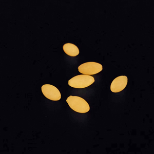 Flottant lumineux la nuit Flotteurs de pêche ovales Indicateurs de grève de pêche Bobber Hameçons de pêche Flotteurs - Product Image 1