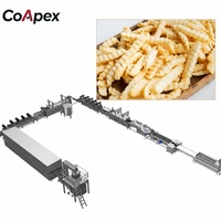CoApex 1-2t/u Industriële Automatische Fritesfabriek met Fruit- en Groentefriteuse, 304 RVS, Multi-brandstof, voor arbeidsbesparing