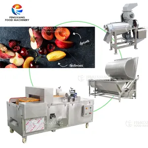 Machine à jus automatique multifonction pour fruits, prune, cerise, litchi, longane, pêche, olive, date, carottage, extracteur de noyaux