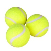 Lanceur de balles de tennis pour chien, bâton rétractable pour lancer des balles, jouet interactif mains libres pour l'entraînement