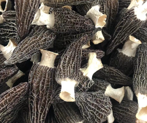 3 ~ 5 cm taille Champignons <span class=keywords><strong>morilles</strong></span> noirs cultivés <span class=keywords><strong>1</strong></span> <span class=keywords><strong>kg</strong></span> <span class=keywords><strong>prix</strong></span> <span class=keywords><strong>morilles</strong></span> champignons entiers séchés pour la nourriture - Product Image 2
