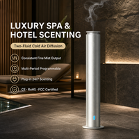 Diffuseur de parfum d'hôtel de luxe, électrique, USB, contrôlé par application, grande capacité, programmable, machine d'aromathérapie à air froid, CE RoHS FCC