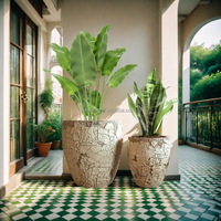 Pot de fleur de style argile fissurée Pot de plantes tropicales intérieur et extérieur Ensembles de 2