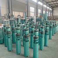 Pompe à eau submersible pour puits profond, 8 pouces, en fonte, 40m³/h, hauteur de refoulement 104m, 18,5kW, 380V, triphasée, à économie d'énergie, pour l'irrigation des terres agricoles