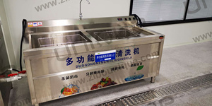 Évier de lavage en machine, pour fruits et légumes, ombré, tomate et carottes - Product Image 3