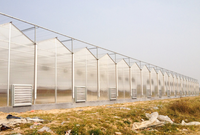 Plaque de toiture en polycarbonate ondulé transparent anti-UV, haute résistance aux chocs, pour serre agricole