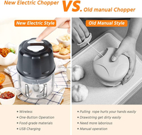 Portable sans BPA hachoir alimentaire 250ml en acier inoxydable USB recharge robot culinaire électrique hachoir ail hachoir
