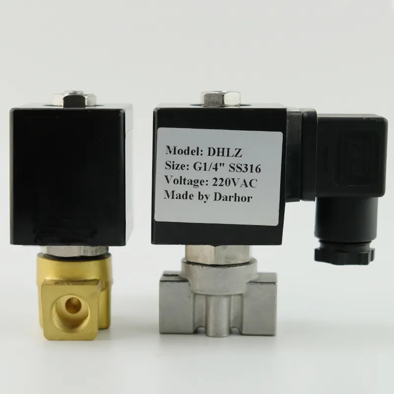 Hydraulic solenoid valve for water or steam 12v 24v 110v 220v