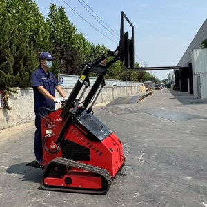 Nuevo Componente de Motor Principal para Minicargadora de Ruedas y Orugas, Cumple con CE y EPA, Maquinaria de Movimiento de Tierras - Product Image 6