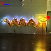 Tenue de spectacle de danse du dragon à LED pour hommes et femmes Costumes de salle de bal pour les fêtes du Nouvel An