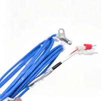 Thermomètre à résistance en platine PT100 à bride fixe, capteur de température de surface de classe A, câble bleu pour la surveillance de la température industrielle