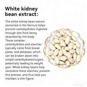 Dismok OEM Ekstrak Herbal Alami Kacang Merah Putih Tablet Serat Makanan 120 Kapsul/Botol Pil Pelangsing Detoks untuk Pria Dewasa - Product Image 3
