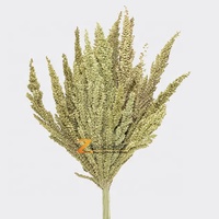 ZENX CART Grosir Baru Bunga Pampas Kering Alami Ramah Lingkungan Buatan Tangan Warna Kuning 50-70cm 100 Paket Thanksgiving Dekorasi Dalam Ruangan