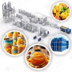 Petite machine à pulper les mangues, usine <span class=keywords><strong>de</strong></span> transformation <span class=keywords><strong>de</strong></span> <span class=keywords><strong>jus</strong></span> concentré, <span class=keywords><strong>extracteur</strong></span> <span class=keywords><strong>de</strong></span> <span class=keywords><strong>jus</strong></span> <span class=keywords><strong>de</strong></span> mangue, prix - Product Image 1