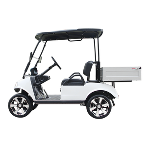 Cadeau du Nouvel An : Buggy avec boîte, mini camion 2 places, chariot surélevé pour voiturette de golf, 48V, autonomie 30-50 km - Product Image 2