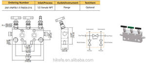 Hikelok enstrümantasyon Manifold vanası <span class=keywords><strong>2</strong></span> yollu vana manifoldu - Product Image 6