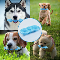 Jouet à mâcher de luxe en TPR pour chien, nettoyeur de dents pour chiot, bâton molaire, brosse à dents pour animaux de compagnie, style dessin animé, vente en gros usine