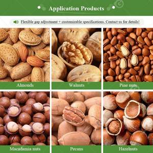 Hazelnut Palm Nut Crushing Automatic Kernel Sorting Remove and Almond <b>Shell</b> Separation Machine to Sale - Product Image 6