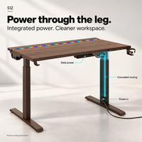 Pieds de bureau en métal avec alimentation électrique, table élévatrice, bande lumineuse RGB, gestion des câbles, bureau commercial MAGNUSS
