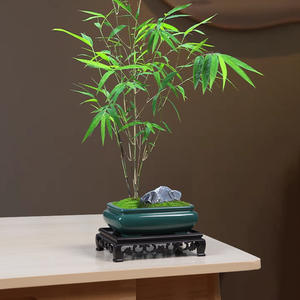 Pots à fleurs en céramique de style ancien, écologiques, avec trou de drainage, durables, légers, pour bonsaïs en nanmu rouge à feuilles petites - Product Image 2