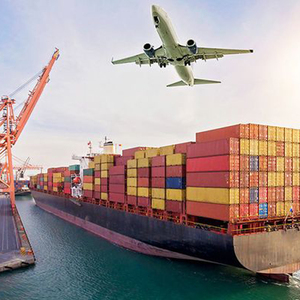 Spedizioniere Marittimo Rapido, Agente di Trasporto Marittimo dalla Cina a USA, <span class=keywords><strong>Canada</strong></span>, Australia, Servizio FBA DDP via Mare - Product Image 6