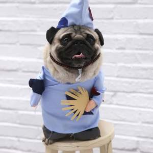 रचनात्मक डिजाइन कॉमेडी स्थायी भिक्षु कुत्ते पोशाक हेलोलीन कुत्ते के कपड़े - Product Image 3