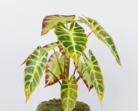 Vcare Lot de 10 feuilles de paon artificielles en plastique, plantes en pot Taro d'automne, décoration intérieure écologique pour salon de style nordique