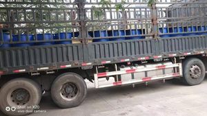 Trade Assurance Af Revêtement <span class=keywords><strong>de</strong></span> <span class=keywords><strong>verre</strong></span> facile à nettoyer et <span class=keywords><strong>de</strong></span> revêtement <span class=keywords><strong>de</strong></span> téléphone portable - Product Image 4