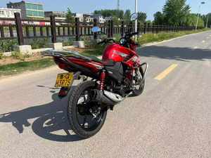 <strong>Yamaha</strong> YBR150 150cc Single Cylinder Air Cooled Fuel Efficient Cargo Carrying Available Suitable for All Road Conditions - Product Image 5
