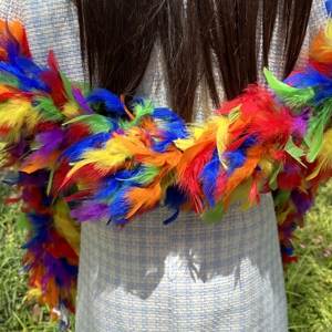 ขนนกสีรุ้ง chandelle boas 60กรัมคละสีสำหรับชุดแฟนซี2หลา - Product Image 3