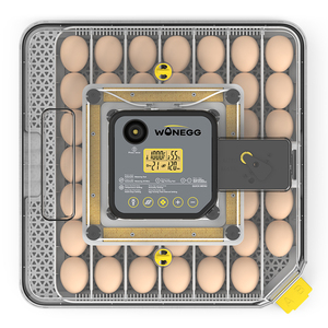 Wonegg mới chim cút vịt ngỗng DC 12V 48 mini trứng lồng ấp cho nở 30 trứng lồng ấp cho trứng cá - Product Image 1