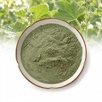 Poudre de feuilles de malva naturelle en vrac, fût de 25 kg, Althaea Officinalis, pour mélange de thé et capsules