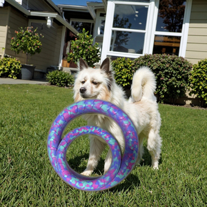 Lingyun di piccole dimensioni eco-friendly Design solido EVA schiuma galleggiante Pet interazioni giocattolo da masticare acqua Stress sollievo per i cani di capodanno - Product Image 5