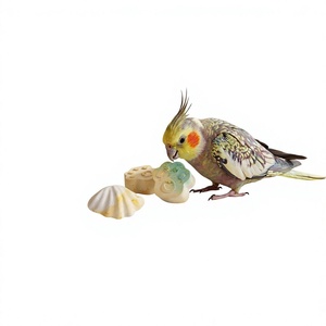 Pierre de sel minéral « Coquilles/cœurs » - Product Image 1