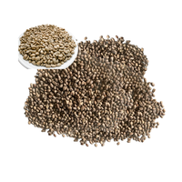 Café Arabica vert en grains Vente chaude Processus de lavage Bonne qualité S16 avec maturité 98% Cerises du Vietnam Café en grains entiers