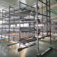 Prix d'usine : Cages à poulets de chair automatisées avec système d'alimentation et de récupération des déjections par grille coulissante, à vendre