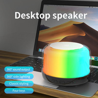 Haut-parleur Bluetooth sans fil coloré populaire le moins cher Éclairage flash RVB Petit haut-parleur Électronique pour le camping Fête Cadeau de vacances