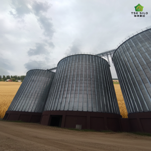 ไซโล<span class=keywords><strong>ข้าว</strong></span>เหล็กชุบสังกะสีคุณภาพสูง TSE TCK 2000T แบบก้นแบน สำ<span class=keywords><strong>ห</strong></span>รับฟาร์มสุกร รับประกัน 1 ปี - Product Image 1