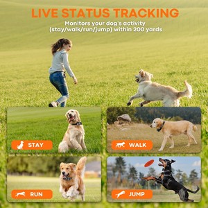 Wireless Plastic GPS <strong>Dog</strong> Fence <strong>Training</strong> <strong>Collar</strong> with IPX7 Waterproof Supports 3 <strong>Dogs</strong> for Outdoor Use - Product Image 5