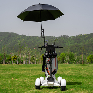 Voiturette de <span class=keywords><strong>golf</strong></span> électrique à <span class=keywords><strong>4</strong></span> roues à <span class=keywords><strong>prix</strong></span> de gros, scooter de <span class=keywords><strong>golf</strong></span> monoplace avec porte-parapluie et support pour sac de <span class=keywords><strong>golf</strong></span> - Product Image 1