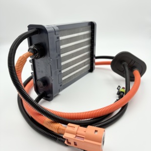 310vdc 2200W điện áp cao PTC nóng trong xe điện tùy chỉnh nhôm nóng điện gốm nóng - Product Image 4